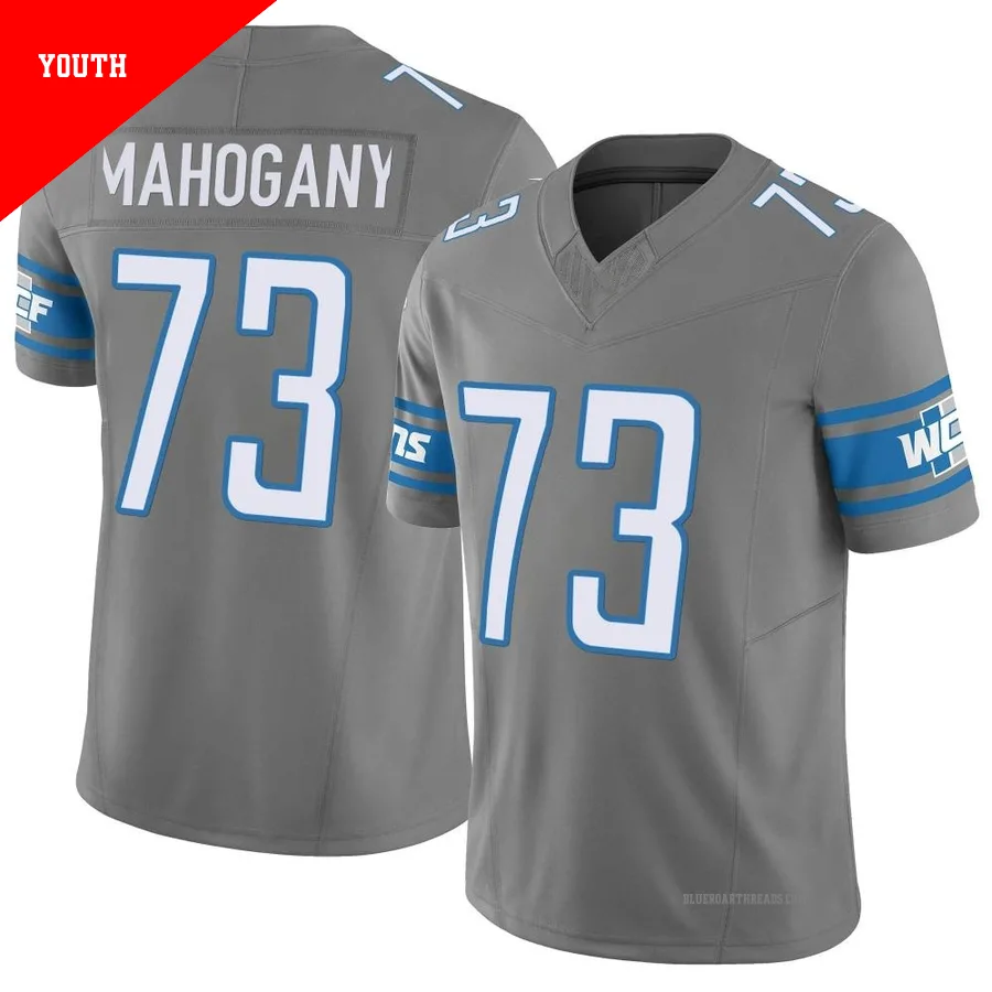 Youth Christian Mahogany ＃73 Detroit Lions Limited Silver Vapor F.U.S.E. Jersey
